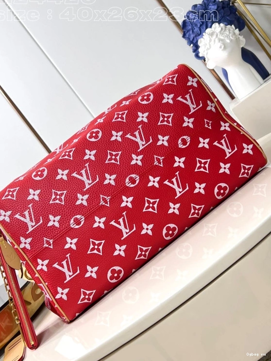 40 SPEEDY Louis Vuitton 0709